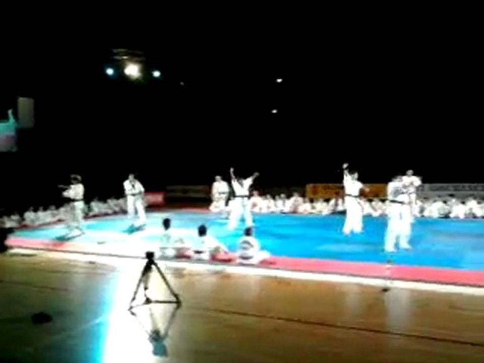 la nuit d art martiaux 2010 toulouse