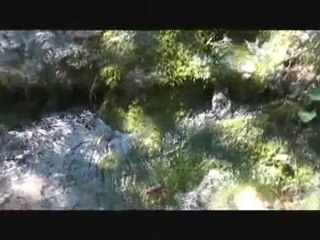 ROQUEFORT LES CASCADES