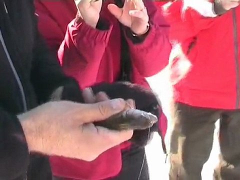 Saint-Michel-des-Saints