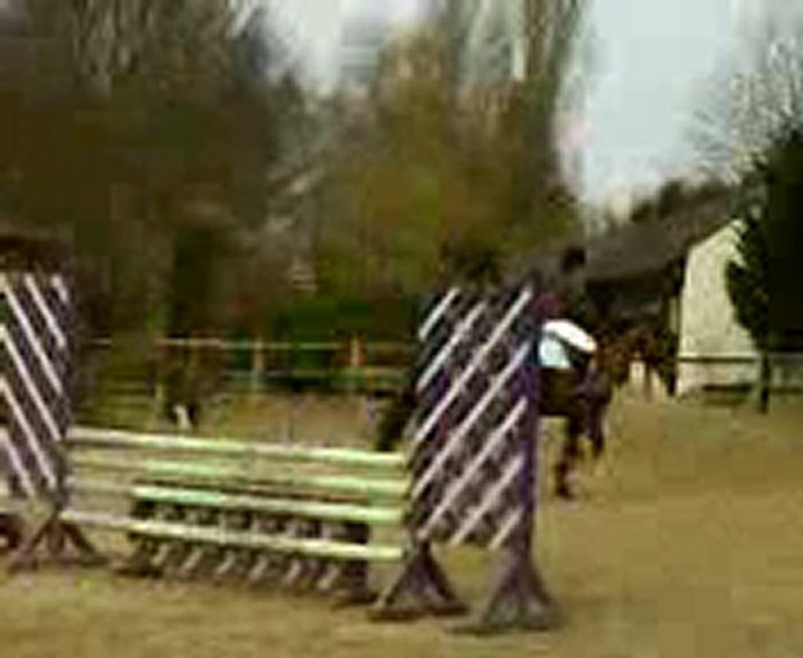 RE jument