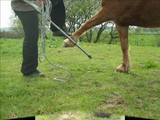 avril 2010 avec les béquilles!