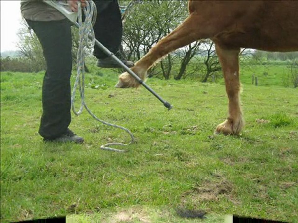 avril 2010 avec les béquilles!