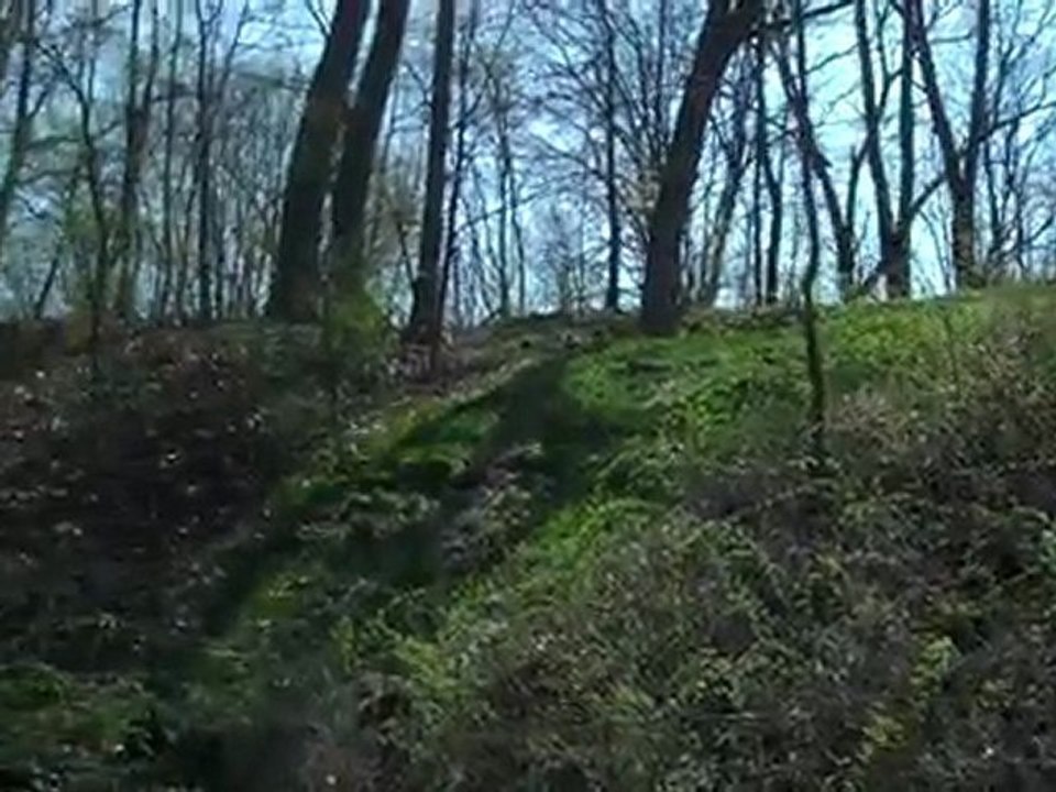 Corey Lake - Home Building Site