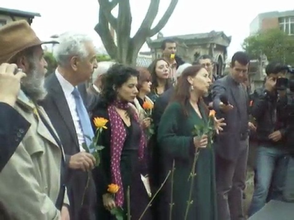 ali mecili