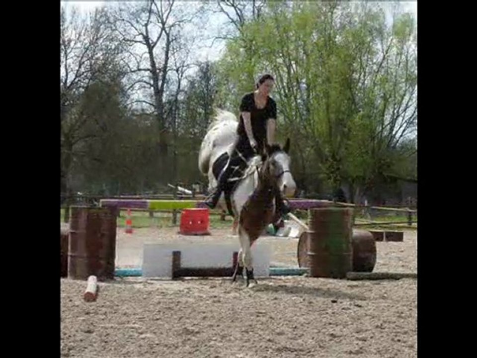 Saut Obstacle 11 avril 2010