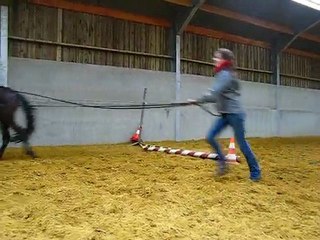 Saut aux longue renes