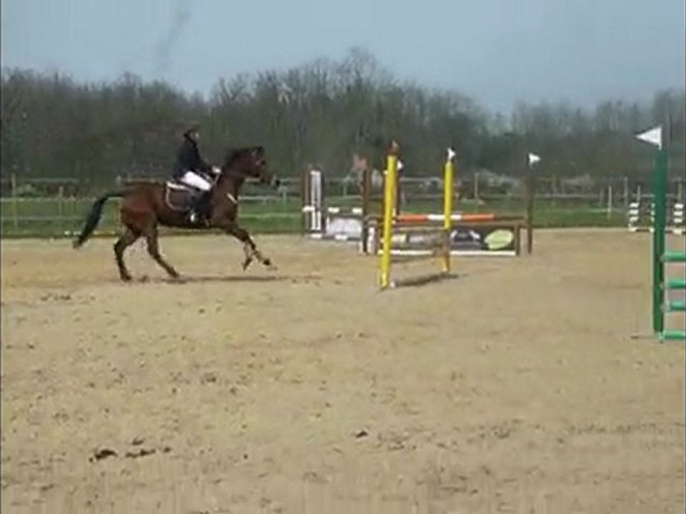 Apple & emilie c2/c3