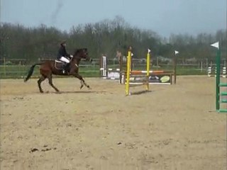 Apple & emilie c2/c3