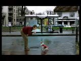 Video - humour - gag chien