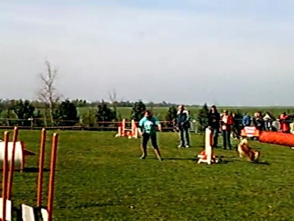 denver hanche 1er partie de brevet