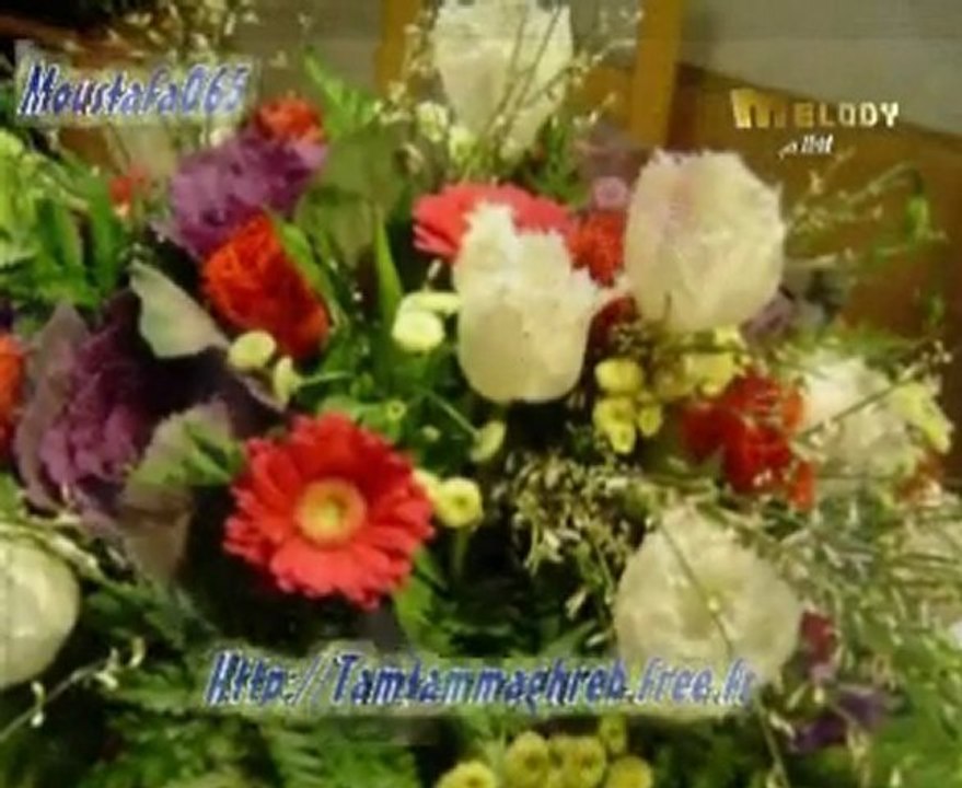 Bon Annivérsaire Tata Zofia