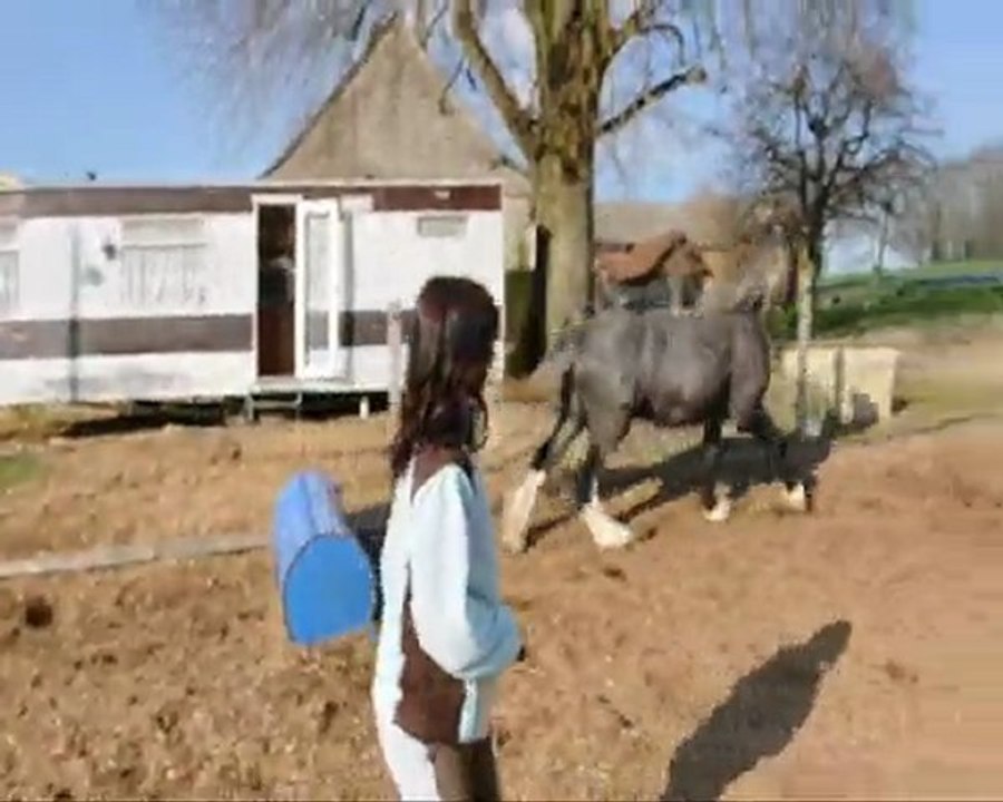 11 avril saut & bride_0001