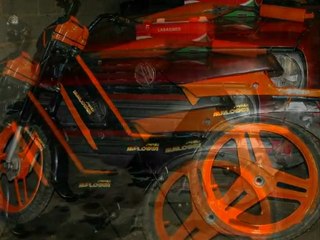 Lemmens Frederic Fox Tuning