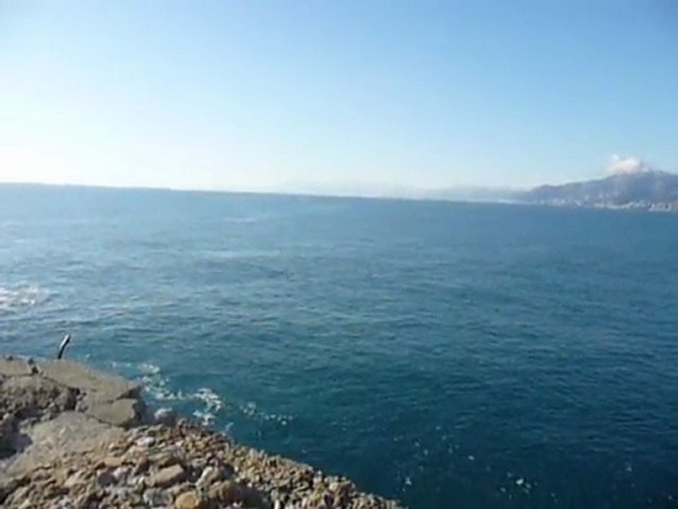Punta Chiappa, Liguria