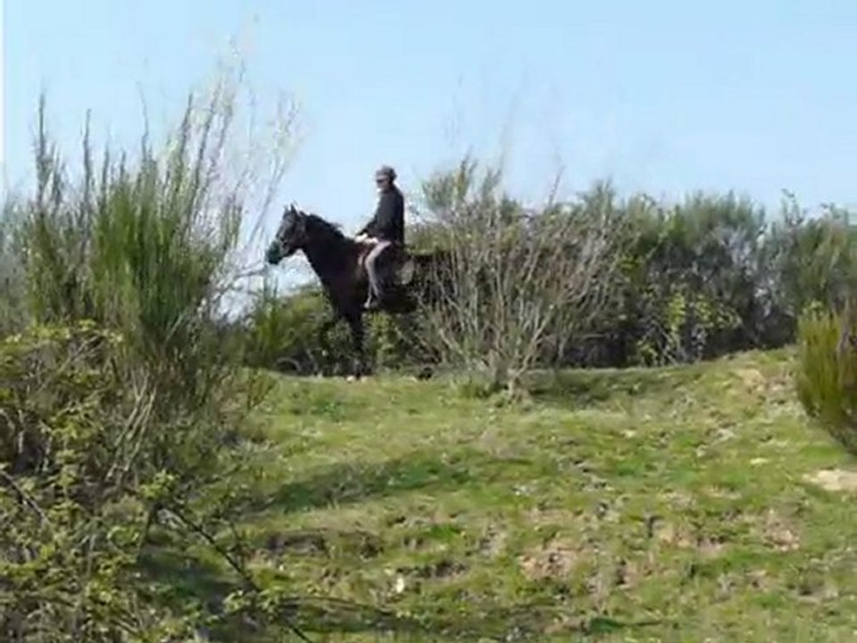 sortie en extérieur, 1ère de l'année