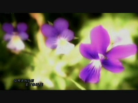 5_5 le mystère des nains de Venise,chasseurs de trésors