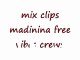 MADININA FREE VIBES CREW - video mix(selecta by fast style)