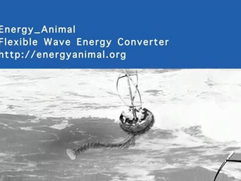 Energy_Animal concept