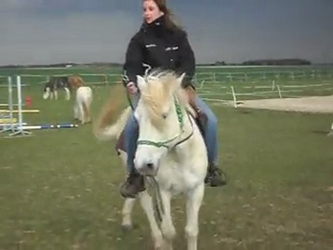 LORIOT CHEVAL DE CAMARGUE avec Angélique. SDC11337