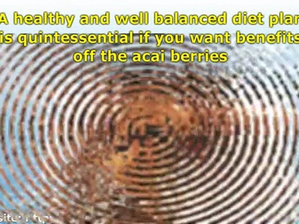 Acai Berry Diet - Important! Do Not Over Look These 5 Simple