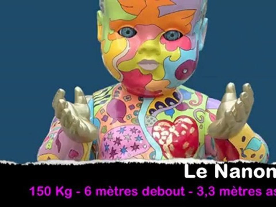 Nanonat 2009