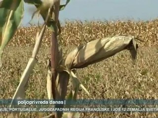Poljoprivreda danas 12.04.2010.