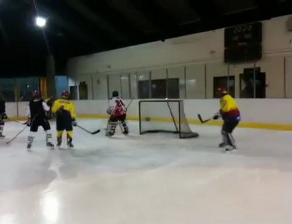 les anges de colombes