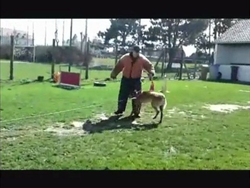 eyak des loups des dunes