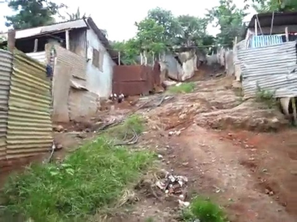 jimbani 29