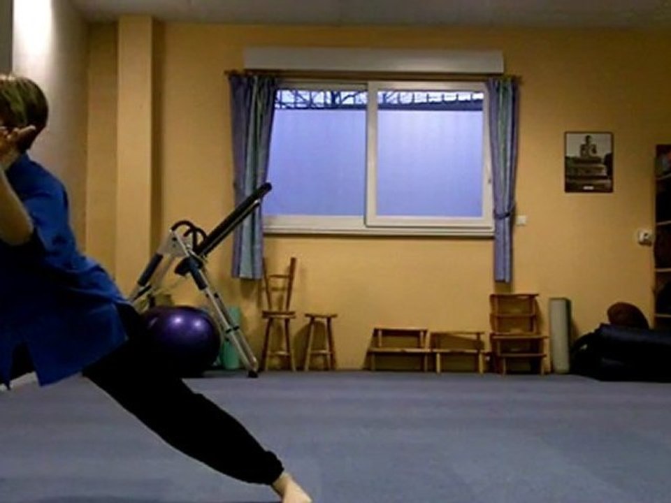 Cours de Tai Chi Chen - Avancés 2