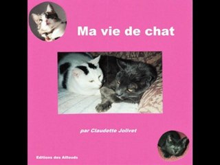 CHAT VIE DE CHAT