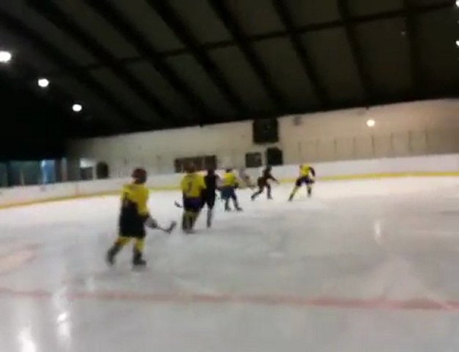 les anges de colombes