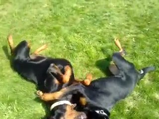 le beau temps cela fait du bien :-)12.04.10