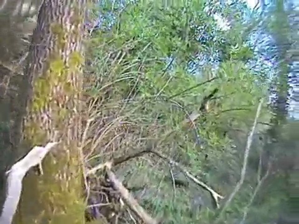 Sortie quad 10 avril 2010 Partie 1/4