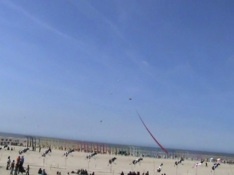 Les Cerfs-Volants de Berck sur Mer - 04