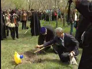 Tree planting