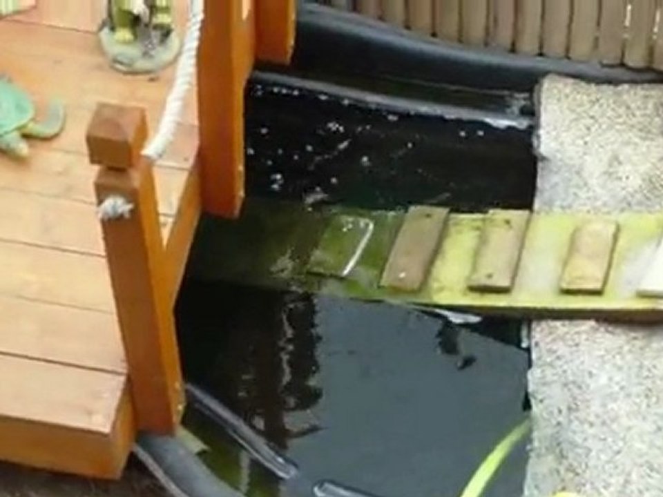 La villa des tortues