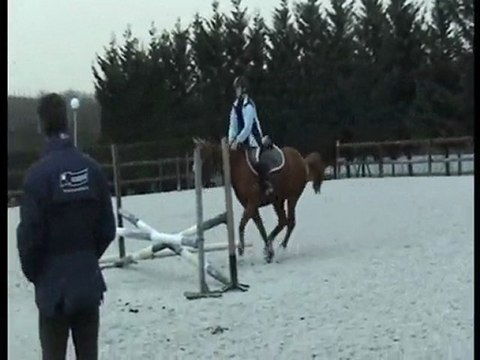 mécanisation jeunes chevaux