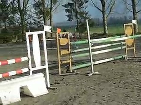 Marie Alice et Pirouette d'Argent, D1p 11 avril 2010