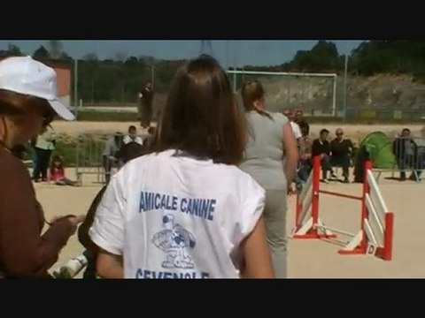 Baxter Ales 11/04/2010