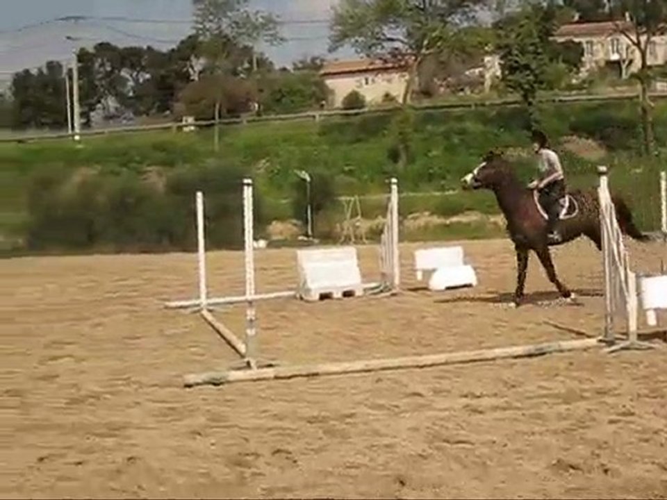 montage Laura Obstacle