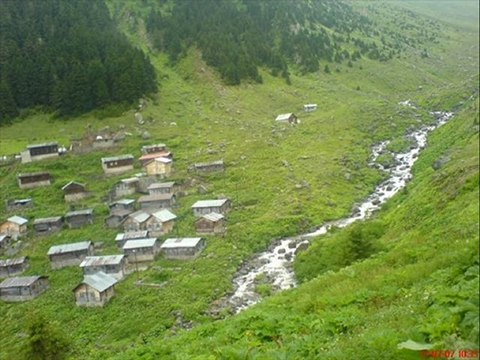 Behçet gülas-Amlakit-gül ektim kavrun.tr.gg