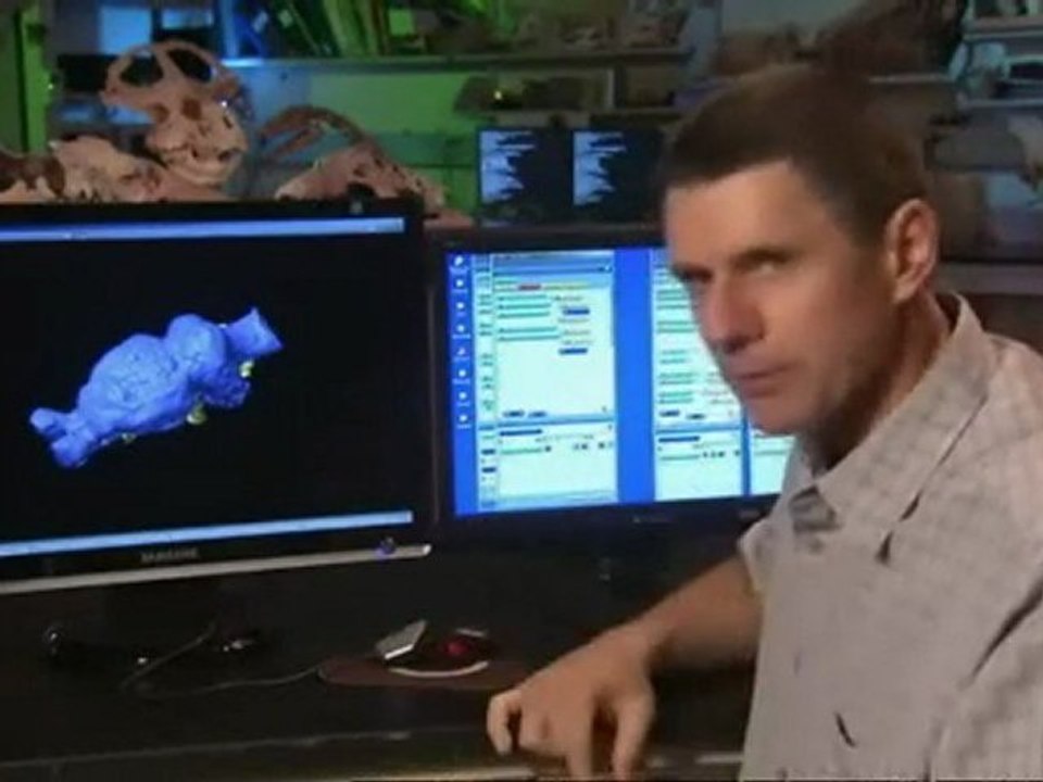 predateurs de la prehistoire le cochon tueur 2