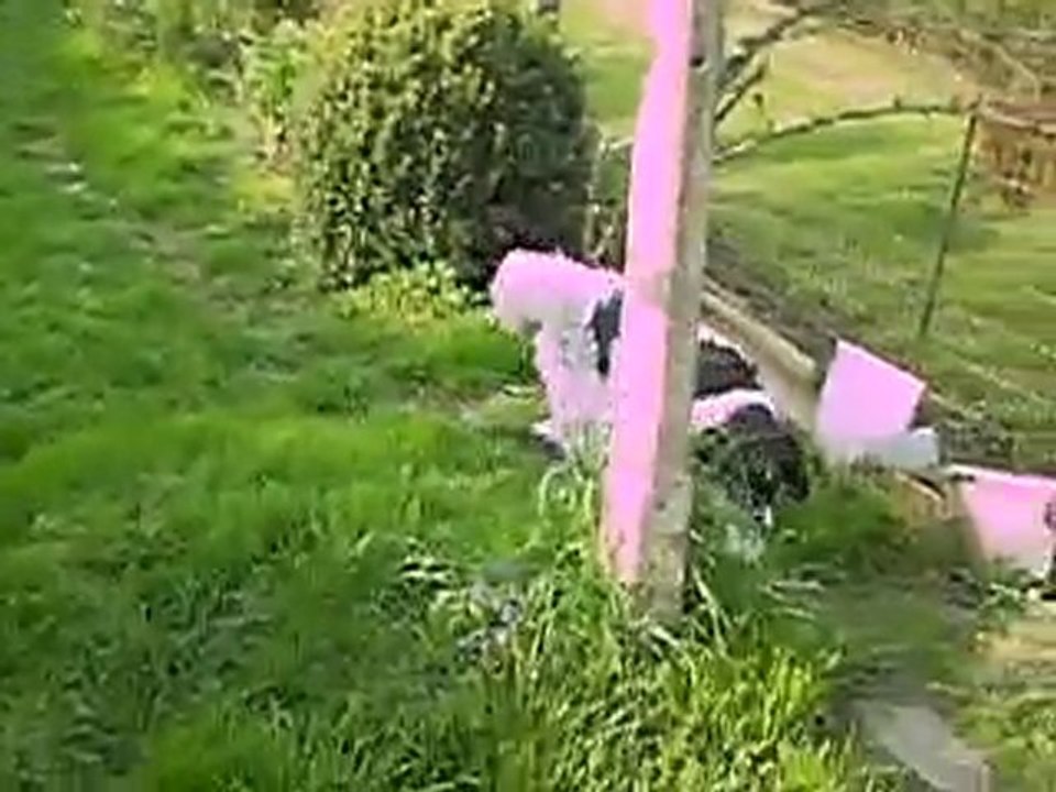 BELLE AU JARDIN