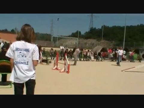 Dream Ales 11/04/2010