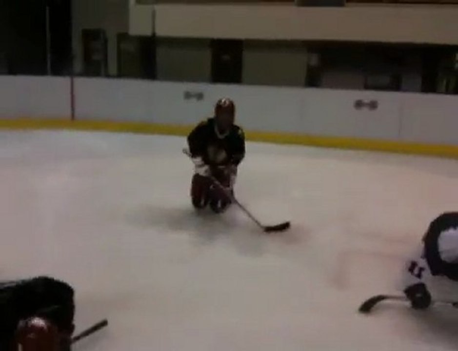 les anges de colombes