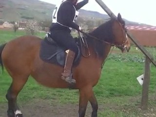 wangen 11/04/2010 ters