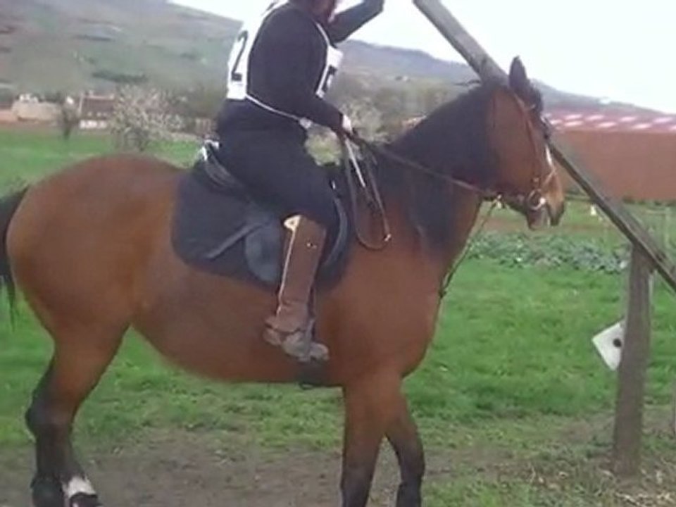 wangen 11/04/2010 ters