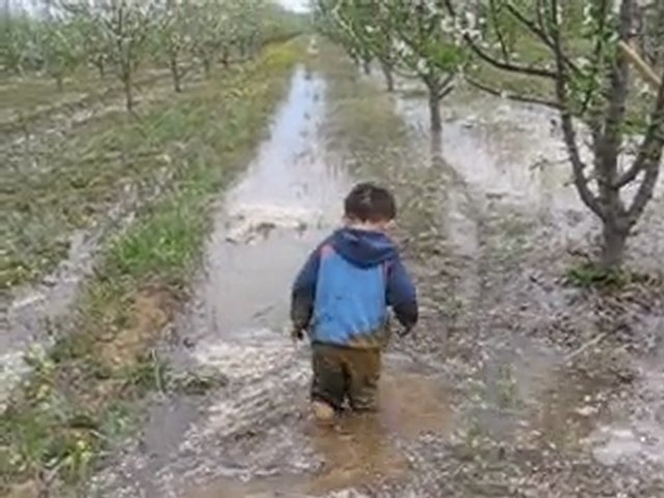 kızık