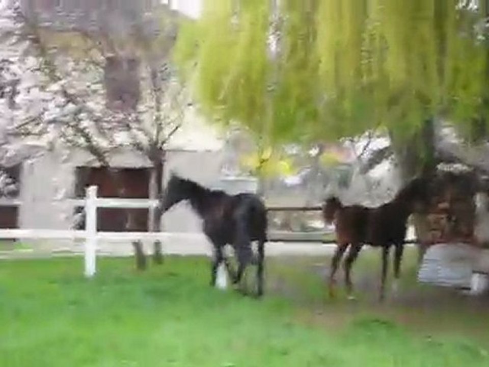 Denicheuse et Valia